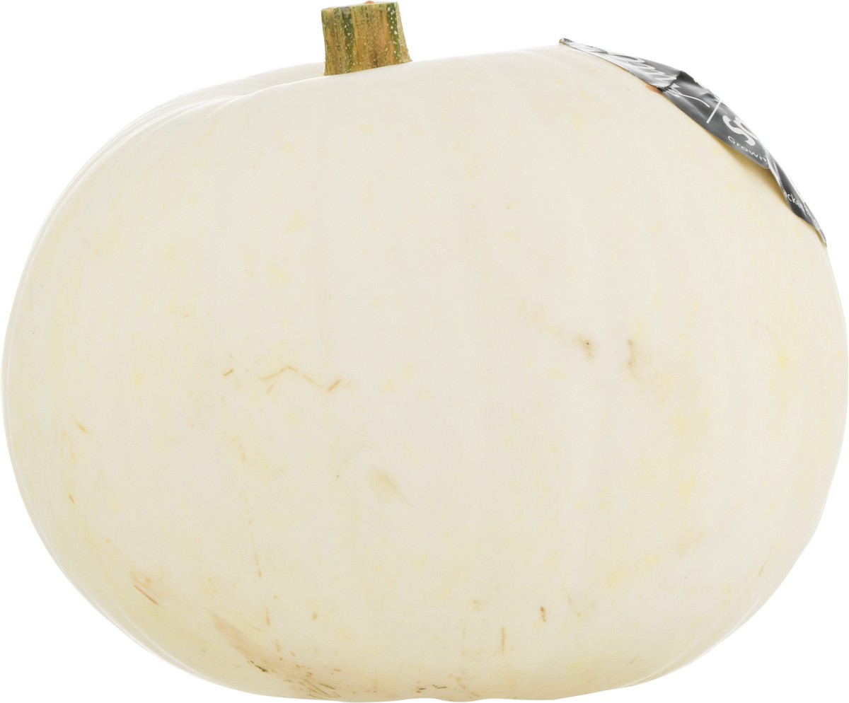 slide 5 of 11, Bay Baby Produce Snowbaby Pumpkin 1 ea, 1 ct