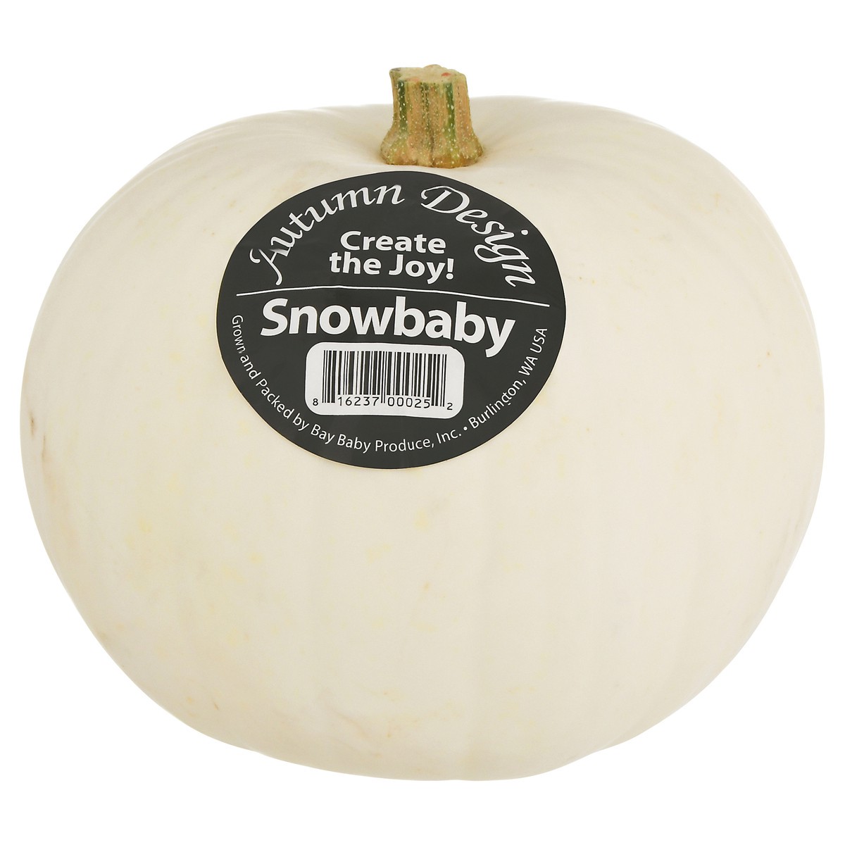 slide 1 of 11, Bay Baby Produce Snowbaby Pumpkin 1 ea, 1 ct