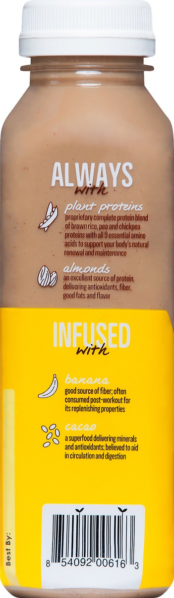 slide 3 of 11, Koia Plant-Based Chocolate Banana Protein Shake 12 oz, 12 oz