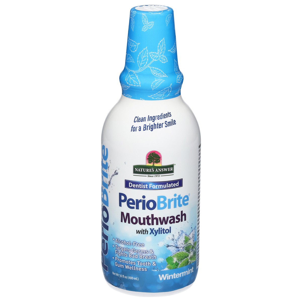 slide 1 of 9, Nature's Answer PerioBrite Dentist Formulated Wintermint Mouthwash with Xylitol 16 fl oz, 16 fl oz