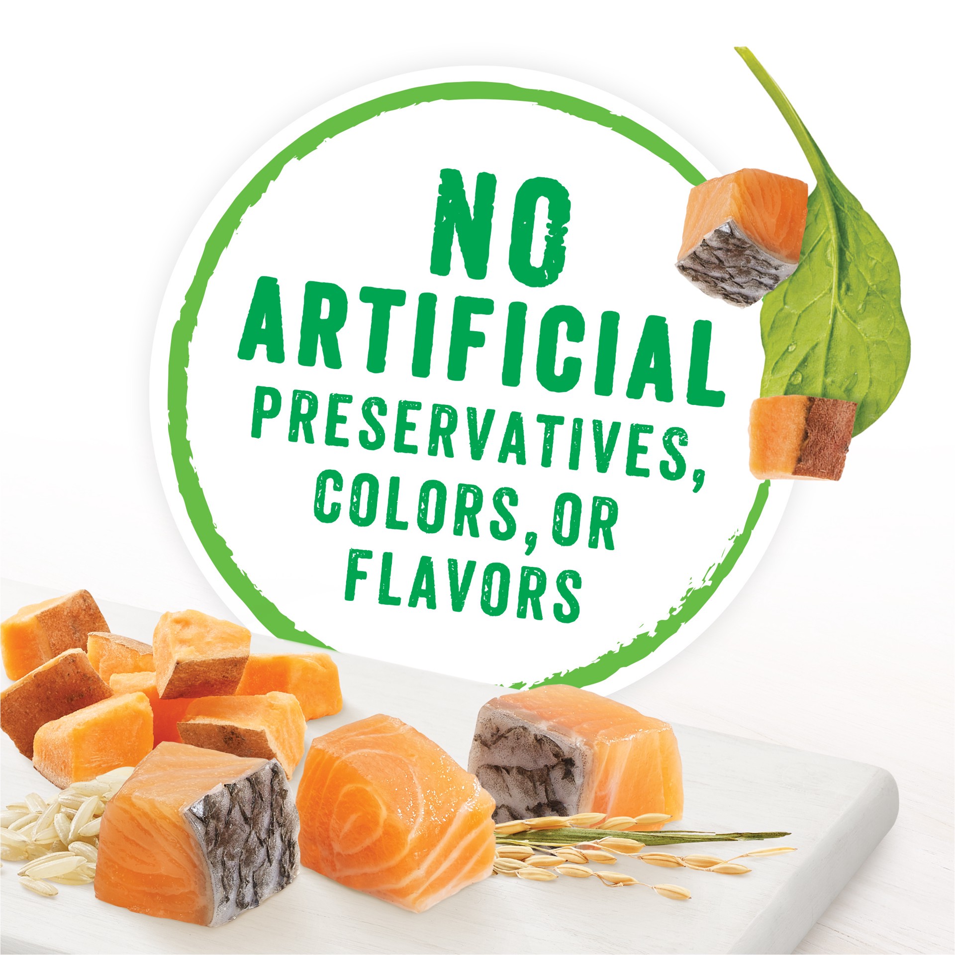 slide 3 of 9, Beneful Purina Beneful Gravy, High Protein Wet Dog Food, Chopped Blends With Salmon - 10 oz. Tub, 10 oz