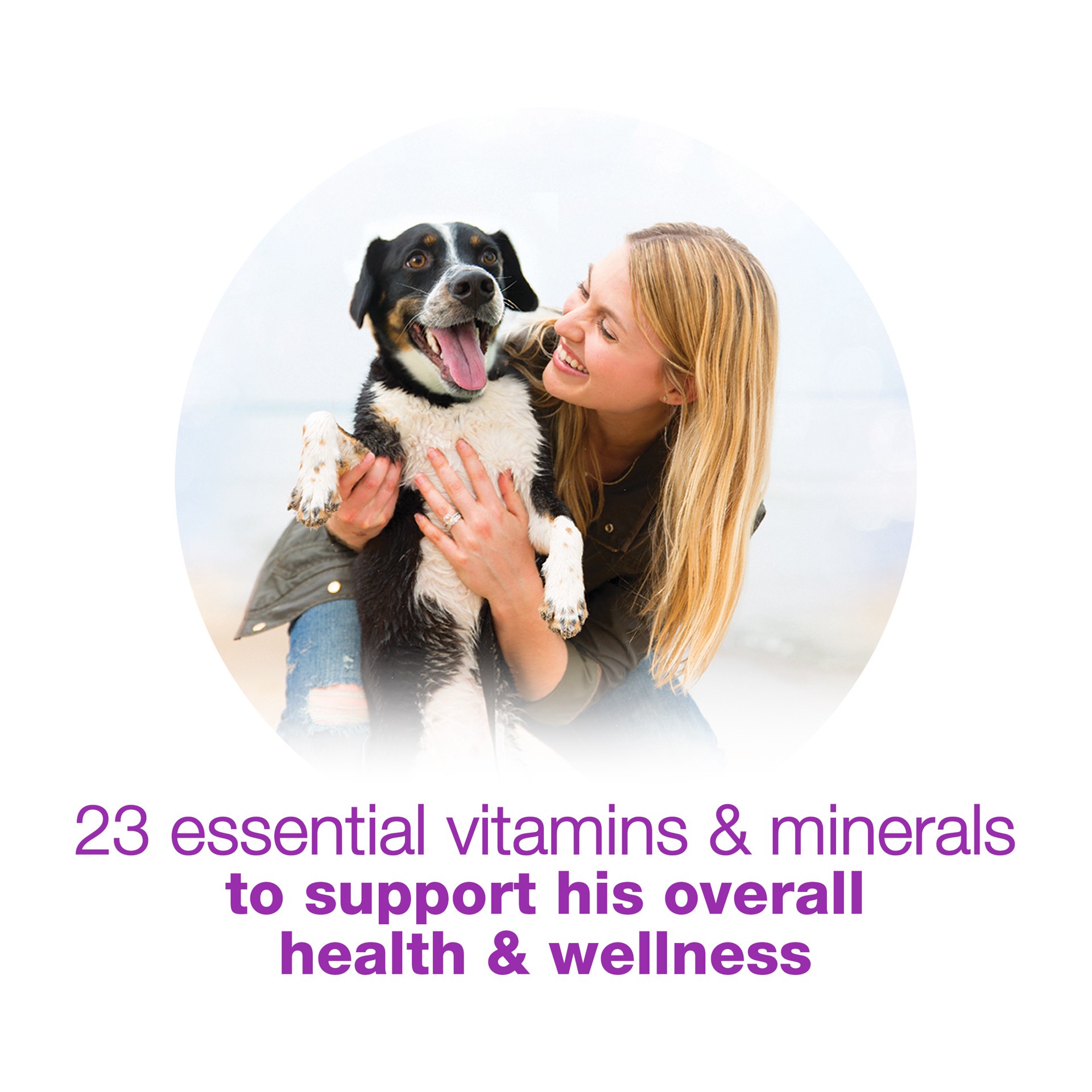 slide 6 of 9, Beneful Purina Beneful Gravy, High Protein Wet Dog Food, Chopped Blends With Salmon - 10 oz. Tub, 10 oz