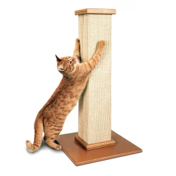 Necoichi Ultimate Scratcher