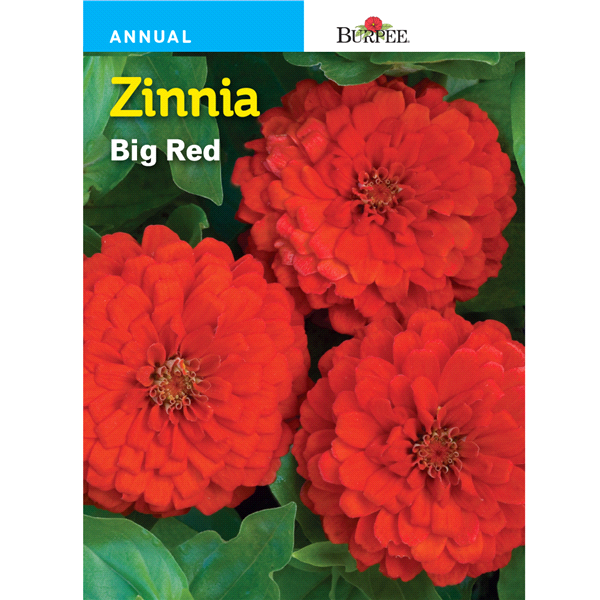 slide 1 of 1, Burpee Zinnia Big Red Seeds, 1 ct