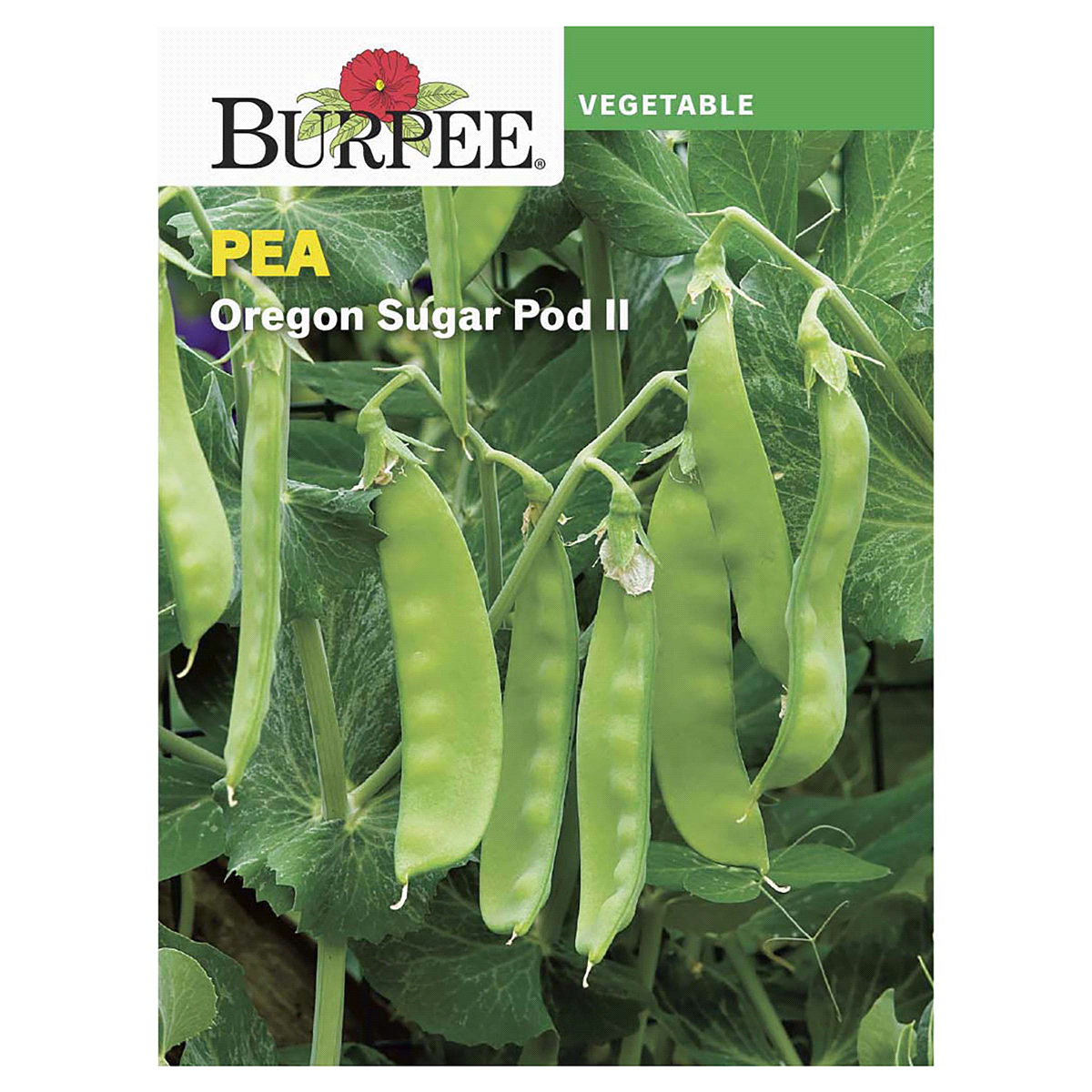 slide 1 of 1, Burpee Asian Pea Oregon Sugar Pod II Seeds, 1 ct