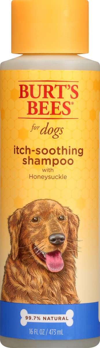 slide 6 of 9, Burt's Bees For Dogs Honeysuckle Itch-Soothing Shampoo 16 oz, 16 oz