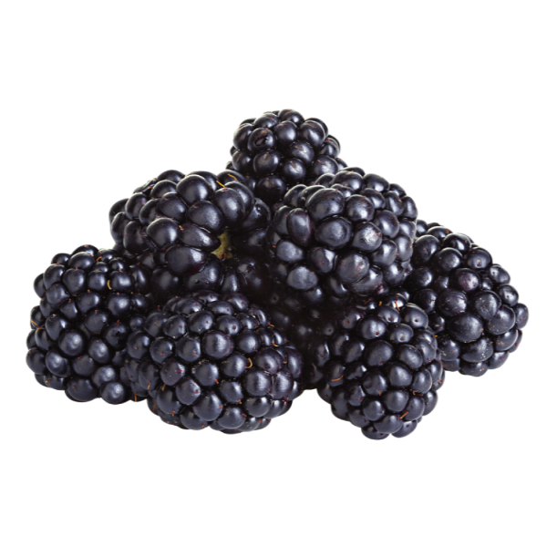 slide 1 of 1, Organic Blackberries, 1 ct