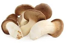 King Oyster Mushrooms