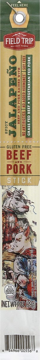 slide 3 of 3, Field Trip Beef and Pork Stick 1 oz, 1 oz