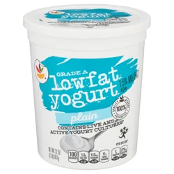 Low Fat Plain Yogurt