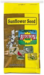 Audubon Park Premium Black Oil Sunflower Seed