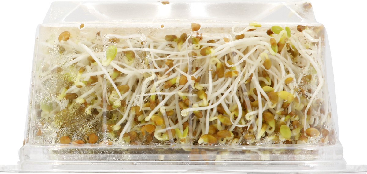 slide 7 of 8, Wild About Sprouts Clover & Alfalfa 3 oz, 3 oz