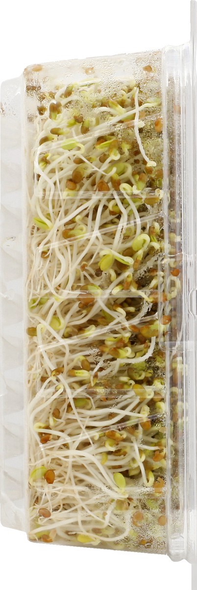 slide 5 of 8, Wild About Sprouts Clover & Alfalfa 3 oz, 3 oz