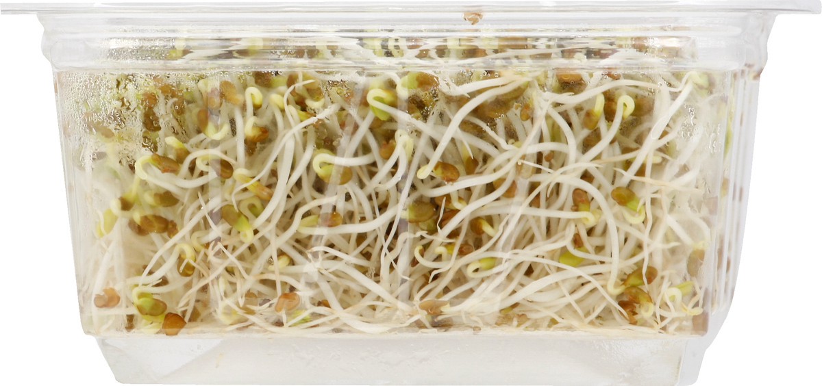 slide 3 of 8, Wild About Sprouts Clover & Alfalfa 3 oz, 3 oz