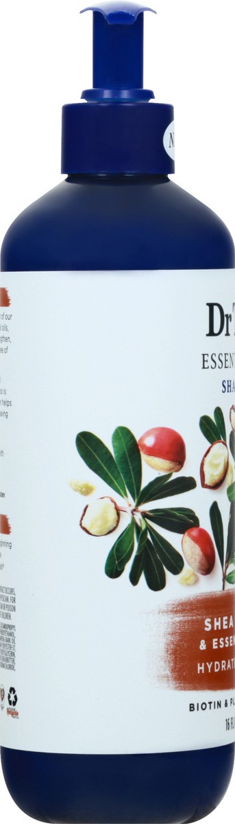 slide 7 of 9, Dr. Teal's Shea Butter Hydrate & Repair Shampoo 16 oz, 16 oz