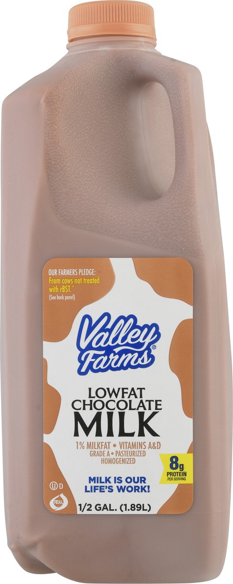 slide 1 of 9, Valley Farms 1% Milkfat Lowfat Chocolate Milk 0.5 gl, 1/2 gal