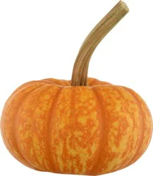 Bay Baby Produce Sparkler Pumpkin 1 ea