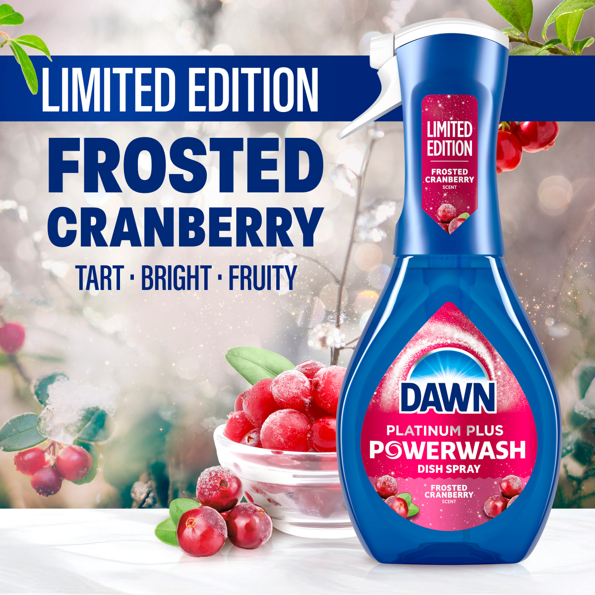 slide 21 of 29, Dawn Powerwash Spray, Dish Soap, Dishwashing Liquid, Frosted Cranberry, 1 Starter Kit, 16 Fl Oz, 16 fl oz