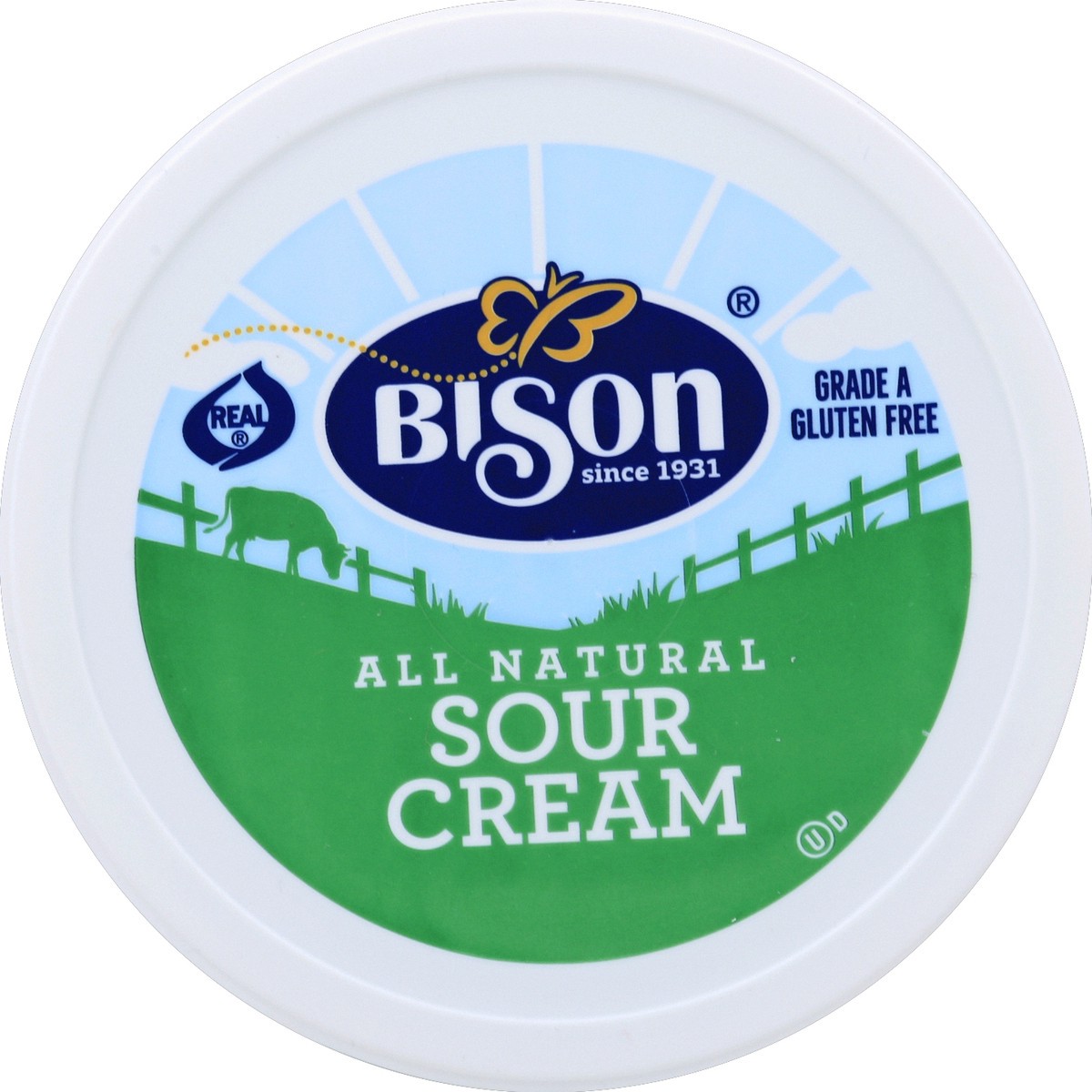 slide 3 of 3, Bison Sour Cream 16 oz Plastic Container, 16 oz