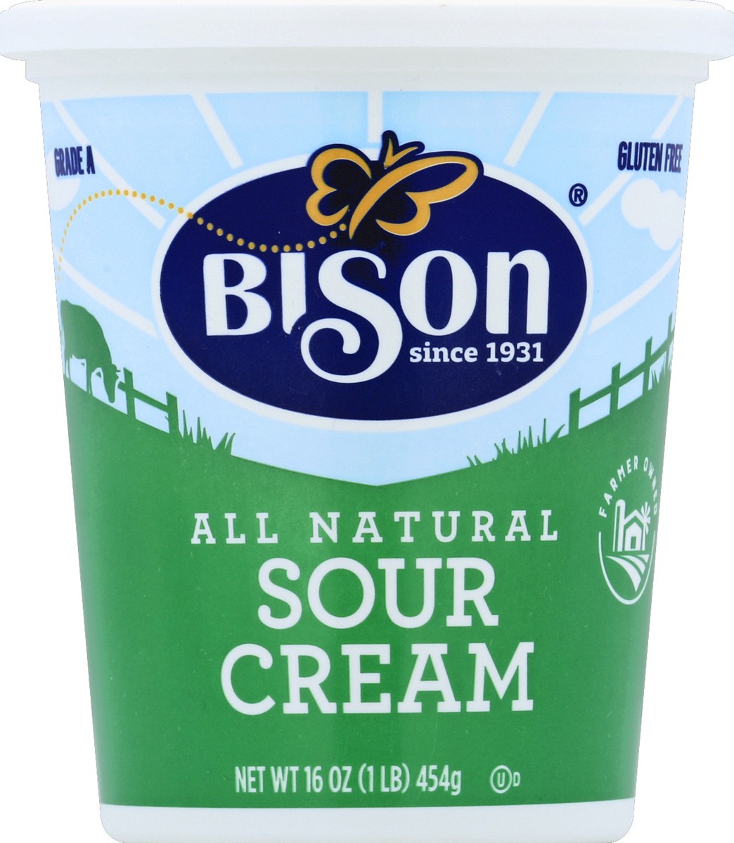 slide 2 of 3, Bison Sour Cream 16 oz Plastic Container, 16 oz