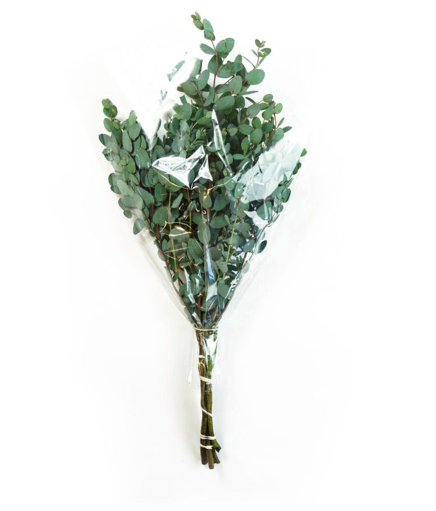 slide 3 of 3, Continental Floral Greens 4 Stem Eucalytus, 1 ct