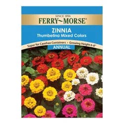 Ferry Morse Zinnia