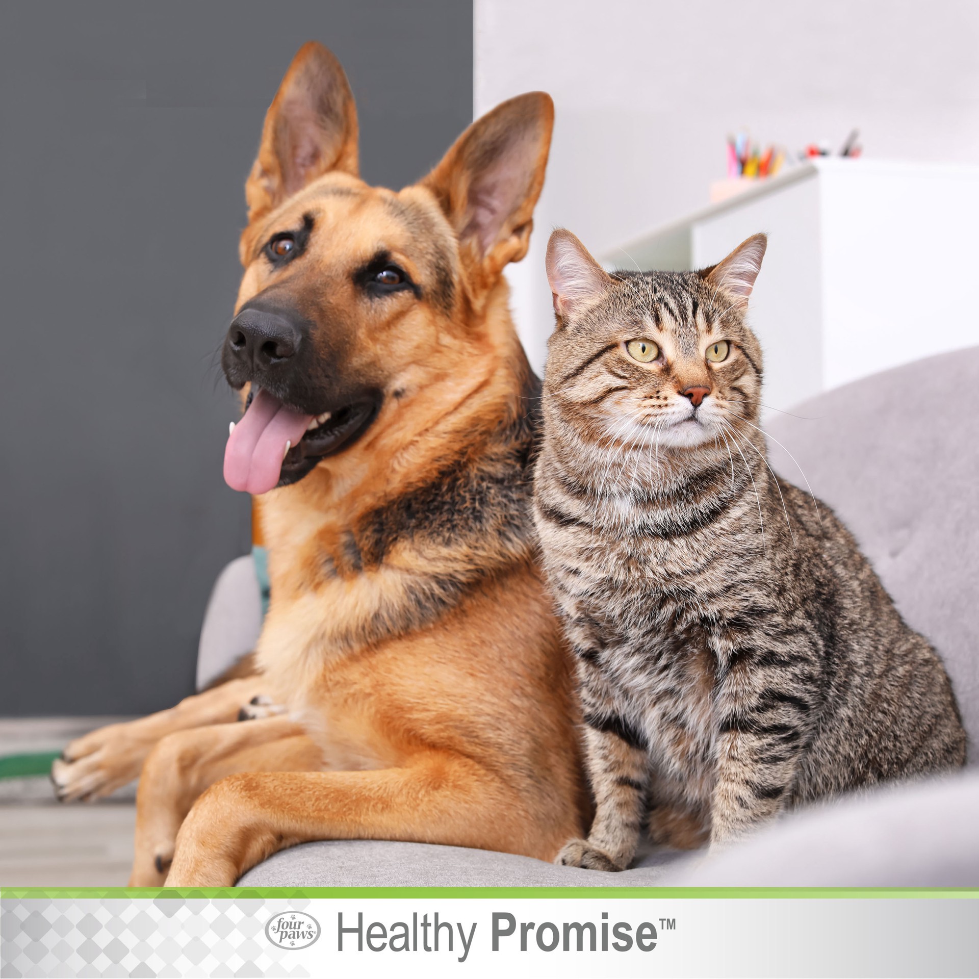 slide 8 of 10, Four Paws Healthy Promise Bitter Lime Anti Chew Spray for Dogs and Cats Bitter Lime Flavor 8 Ounces, 1 ct