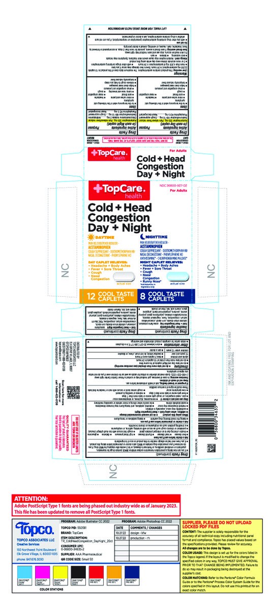 slide 11 of 15, TopCare Health Day + Night Cold + Head Congestion 20 Caplets, 20 ct