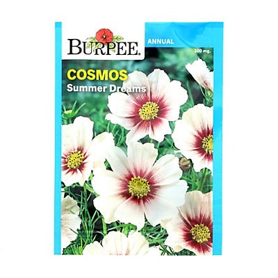 slide 1 of 1, Burpee Cosmos Summer Dreams Seeds, 1 ct