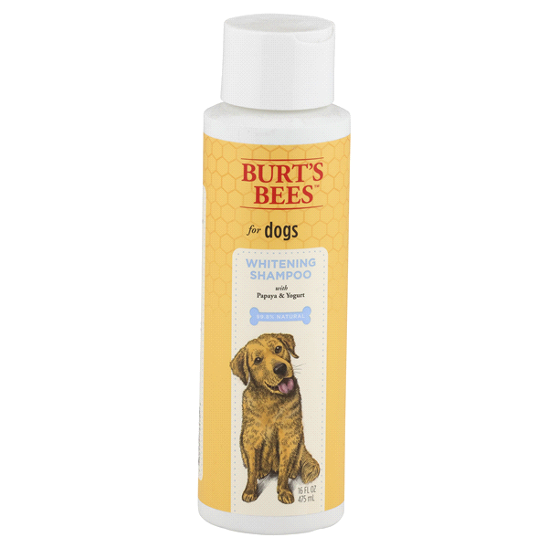 slide 1 of 1, Burt's Bees for Dogs Whitening Shampoo, 16 fl oz