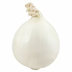 Jumbo White Onions