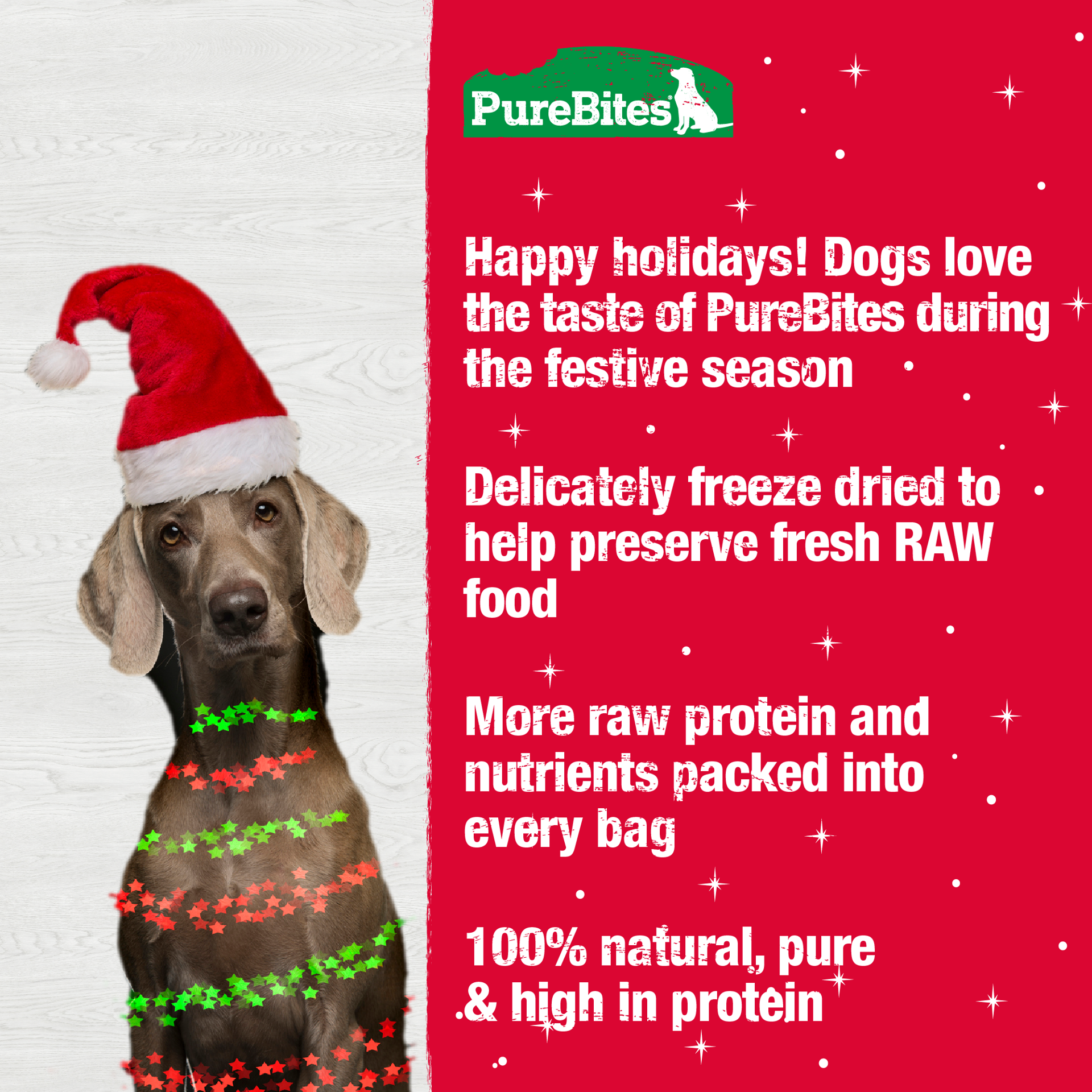 slide 4 of 5, PureBites Pure Bites Holiday Turkey & Sweet Potato Dog Treats, 2.5 oz