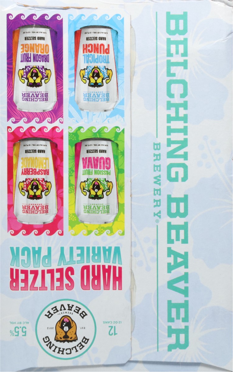 slide 6 of 9, Belching Beaver Brewery Assorted Hard Seltzer Variety Pack 12 - 12 oz Cans, 12 ct; 12 oz