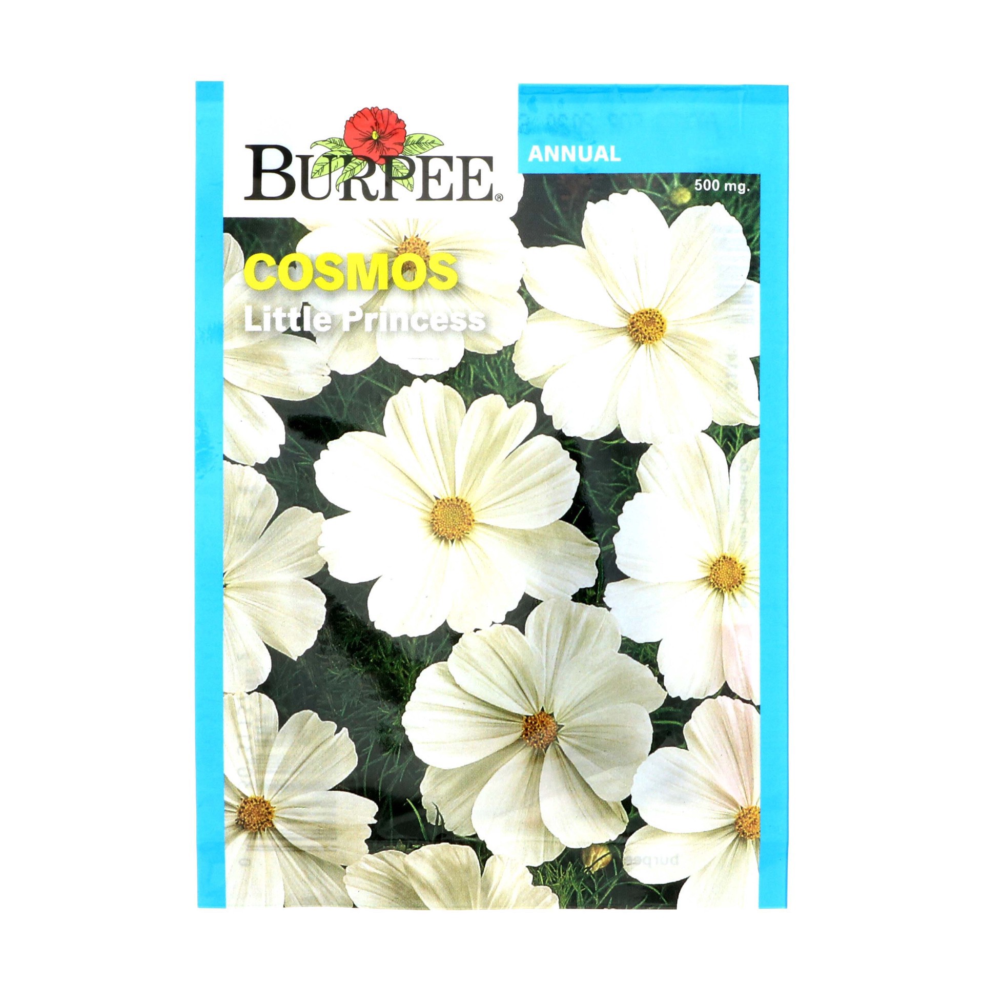 slide 1 of 1, Burpee Cosmos Little Princess Seeds, 1 ct