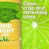 slide 9 of 16, Bud Light Lime Beer Beer Bottles, 12 fl oz