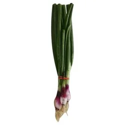 Red Torpedo Onion