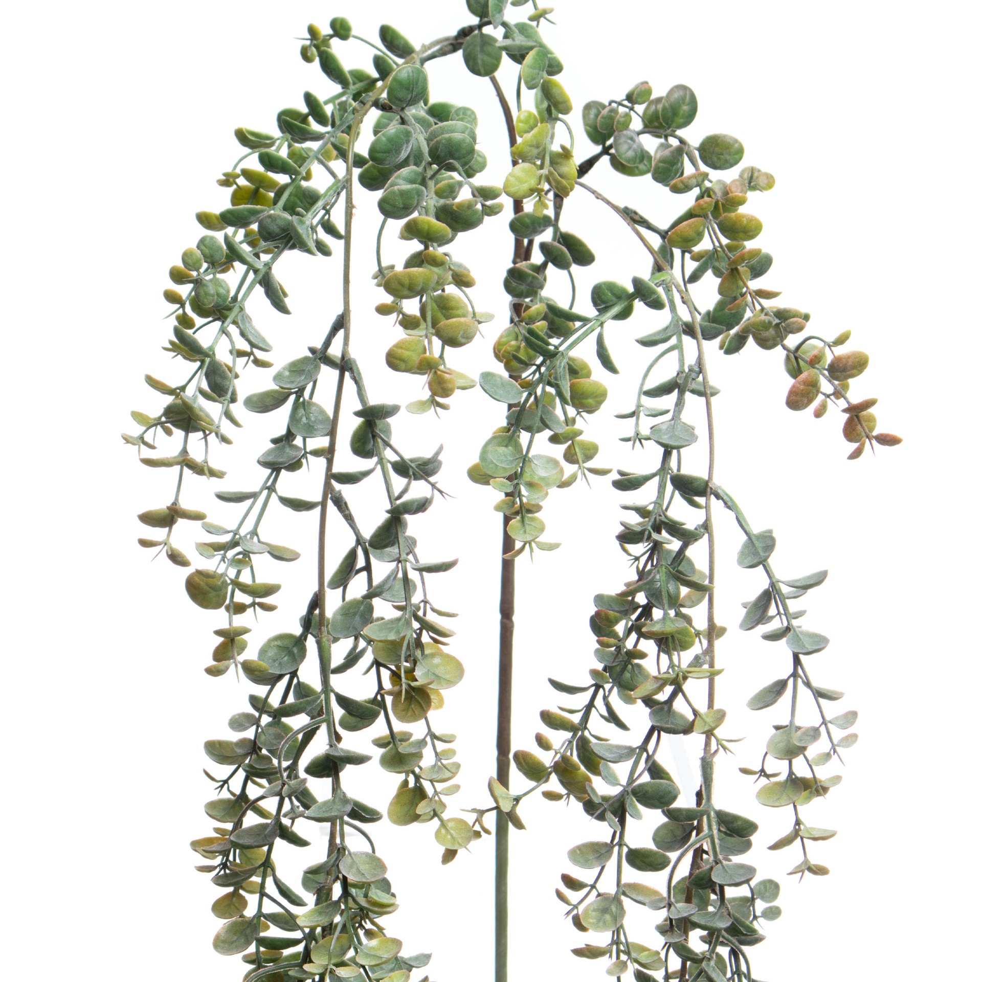 slide 2 of 3, 22" Hanging Eucalyptus Stem By Ashland, 8 in x 2 in x 22 in