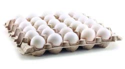 Crystal Springs Large Eggs