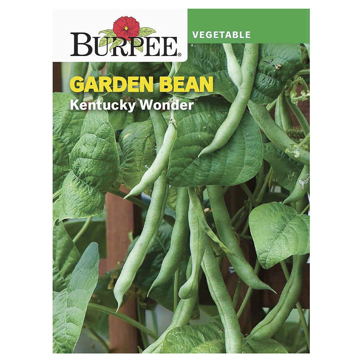 slide 1 of 5, Burpee Bean Kentucky Wonder Seeds, 1 ct