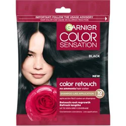 Garnier Black Hair Color 1 ea