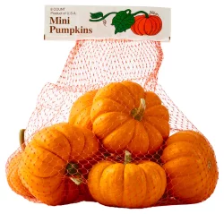 Fresh Grown Mini Pumpkins Bag - Each