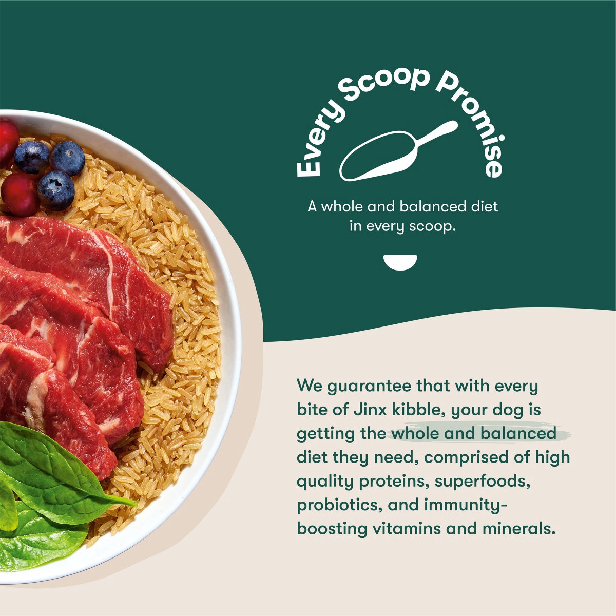 slide 2 of 29, Jinx Beef Brown Rice Sweet Potato 4lb Dry Dog Food Bag, 4 lb