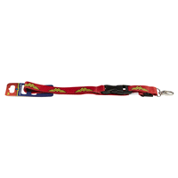 slide 11 of 29, Plasticolor Warner Bros. Wonder Woman Lanyard, 1 ct