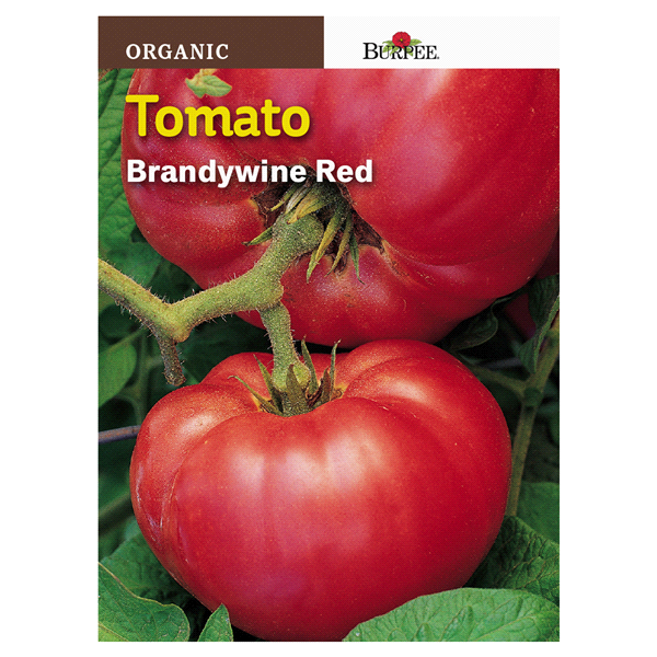 slide 1 of 1, Burpee Tomato Brandywine Red Seeds, 1 ct