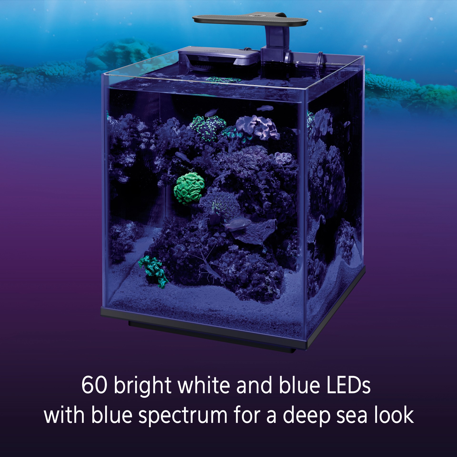 slide 10 of 10, Coralife Clip-On Marine Aquarium LED Light Fixture, 1 ct