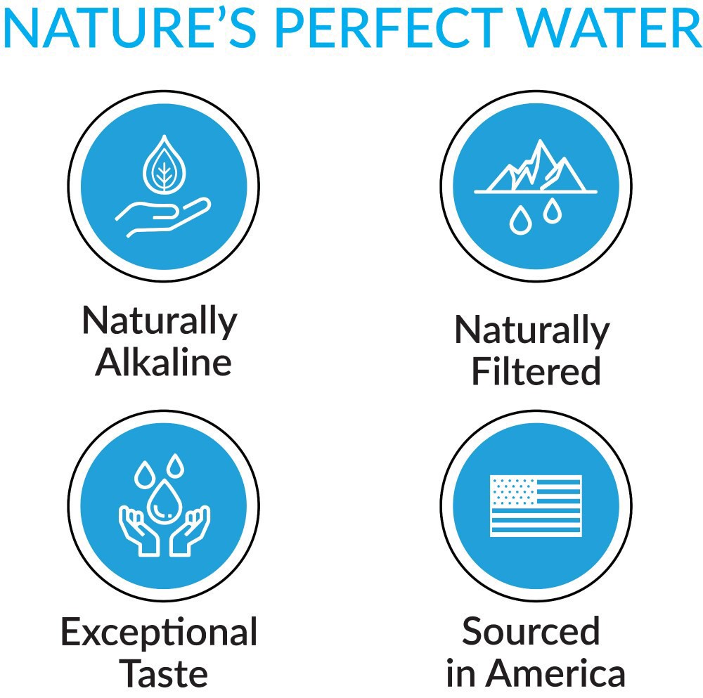 slide 6 of 6, Eternal Alkaline Spring Water - 84.5 fl oz, 84.5 fl oz