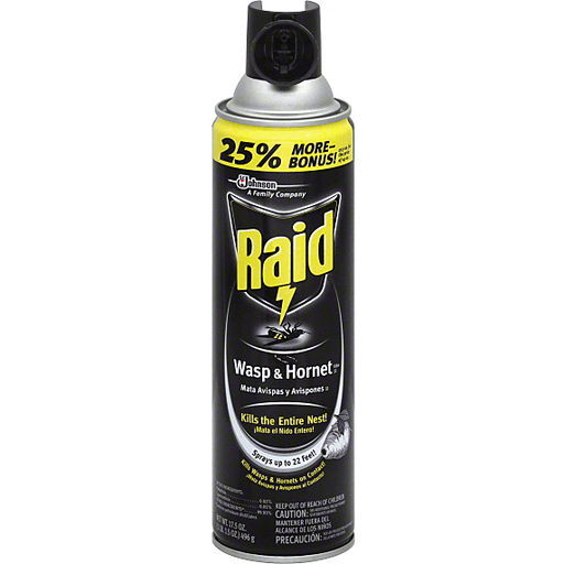 slide 2 of 2, Raid Wasp And Hornet Insecticide, 17.5 oz