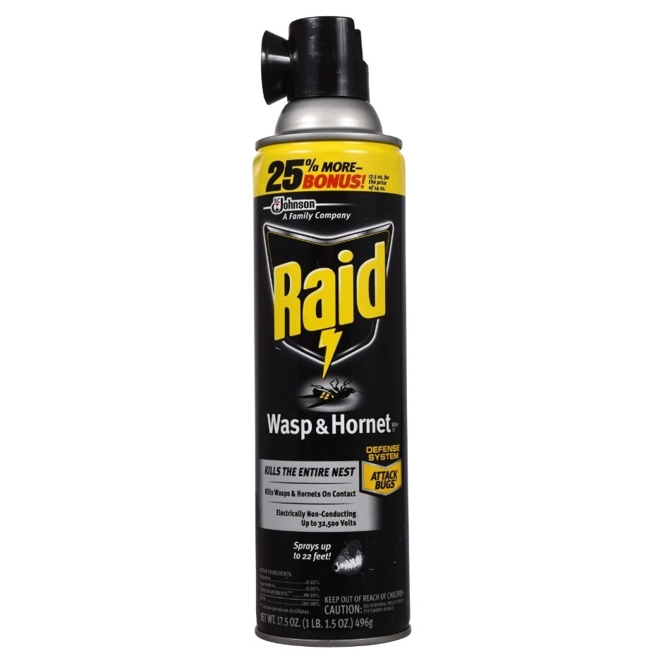 slide 1 of 2, Raid Wasp And Hornet Insecticide, 17.5 oz