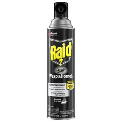 Raid Wasp & Hornet Killer 33, Outdoor Flying Insect Spray, 17.5 oz