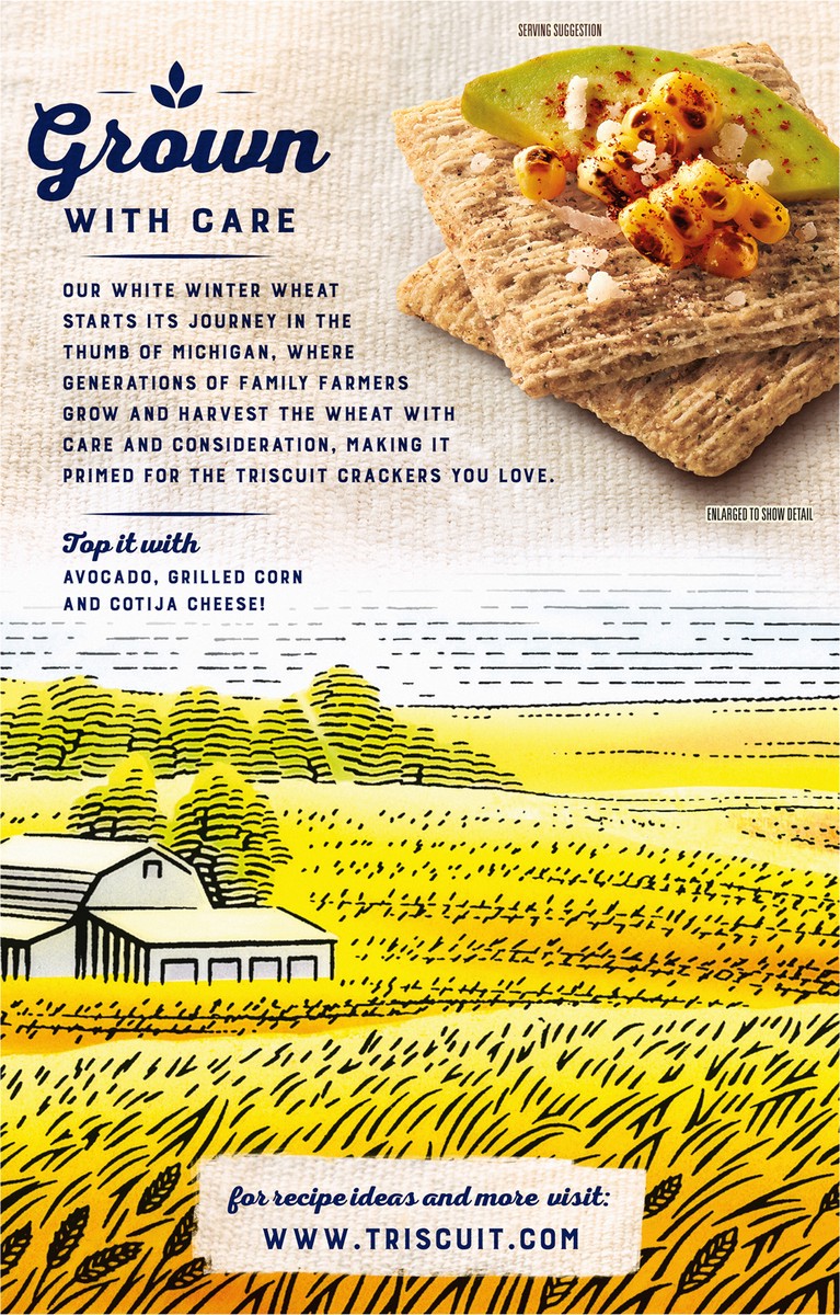 slide 5 of 9, Triscuit Fire Roasted Tomato & Olive Oil Whole Grain Wheat Crackers, 8.5 oz, 8.5 oz